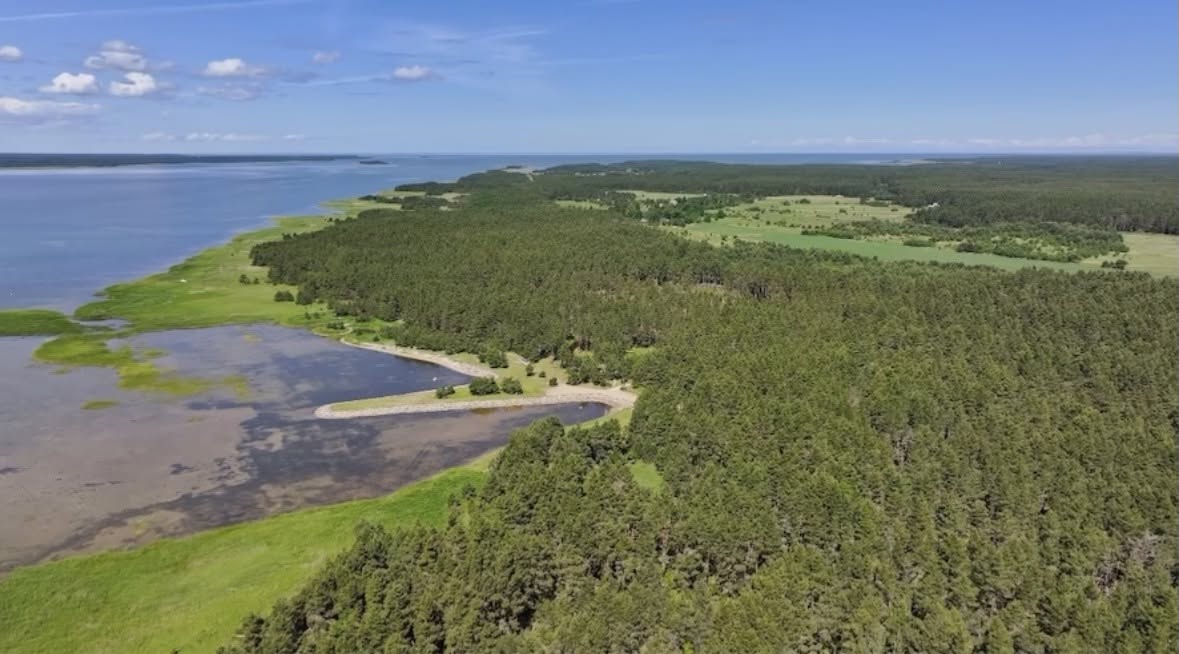Vaade Noarootsis erakinnistul valminud maastikukujundusest ja -ehitusest.